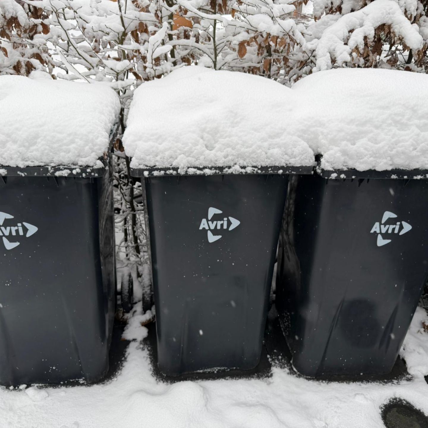 drie avri containers staan naast elkaar in de sneeuw met een laag sneeuw bovenop de deksels.